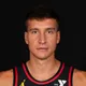 Bogdan Bogdanović